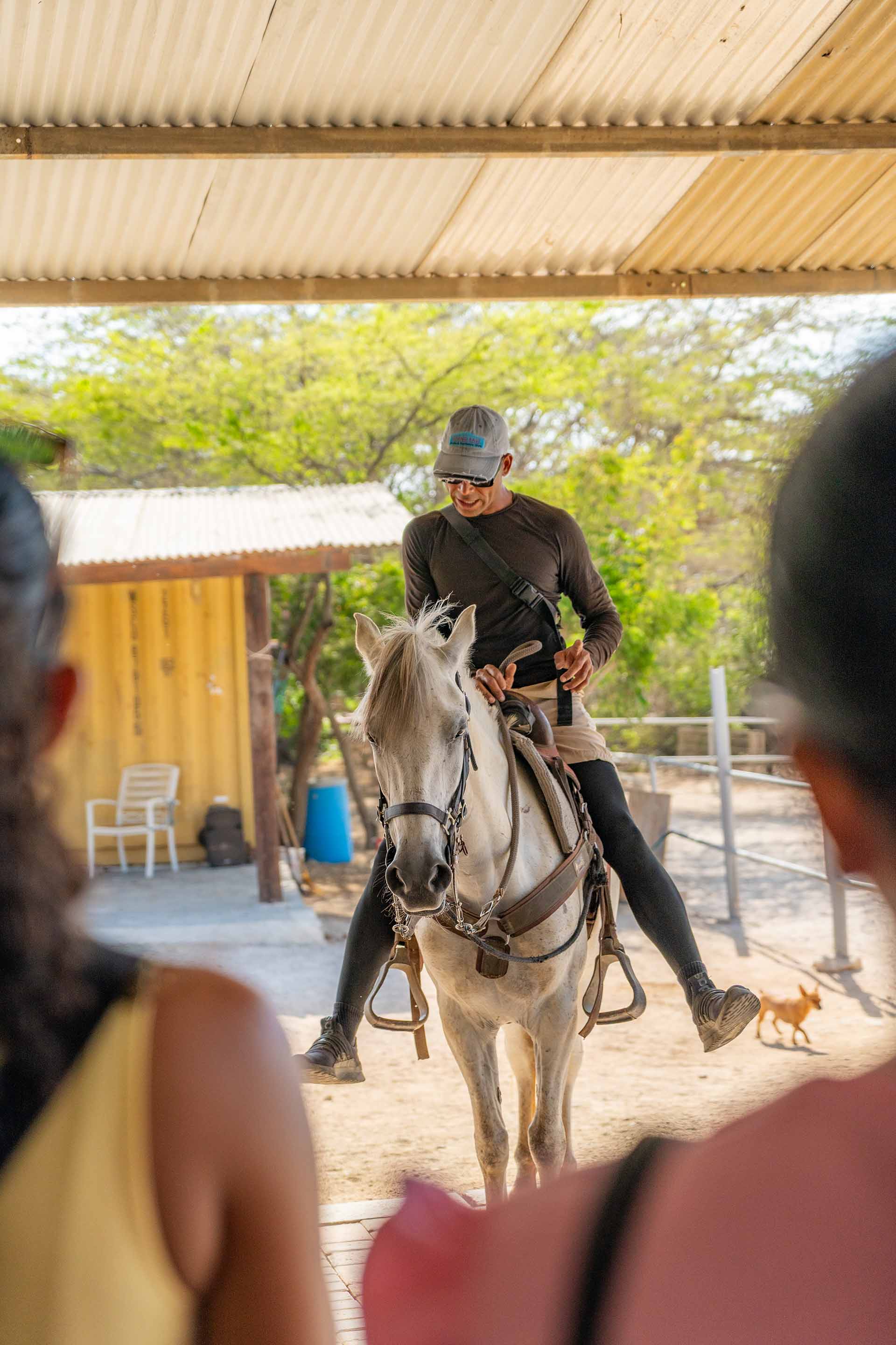 Aruba_Horse_Tours-09