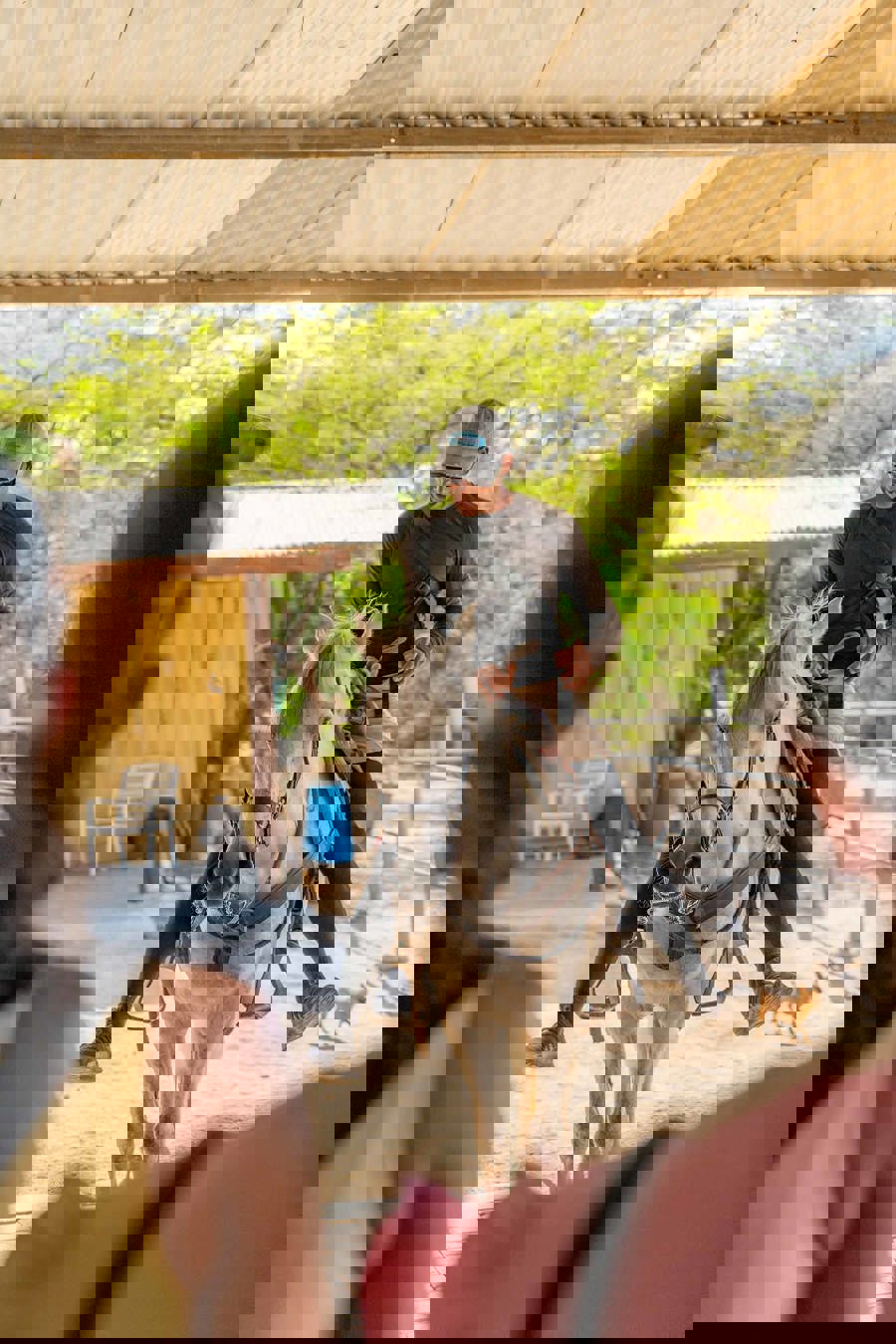 Aruba_Horse_Tours-09