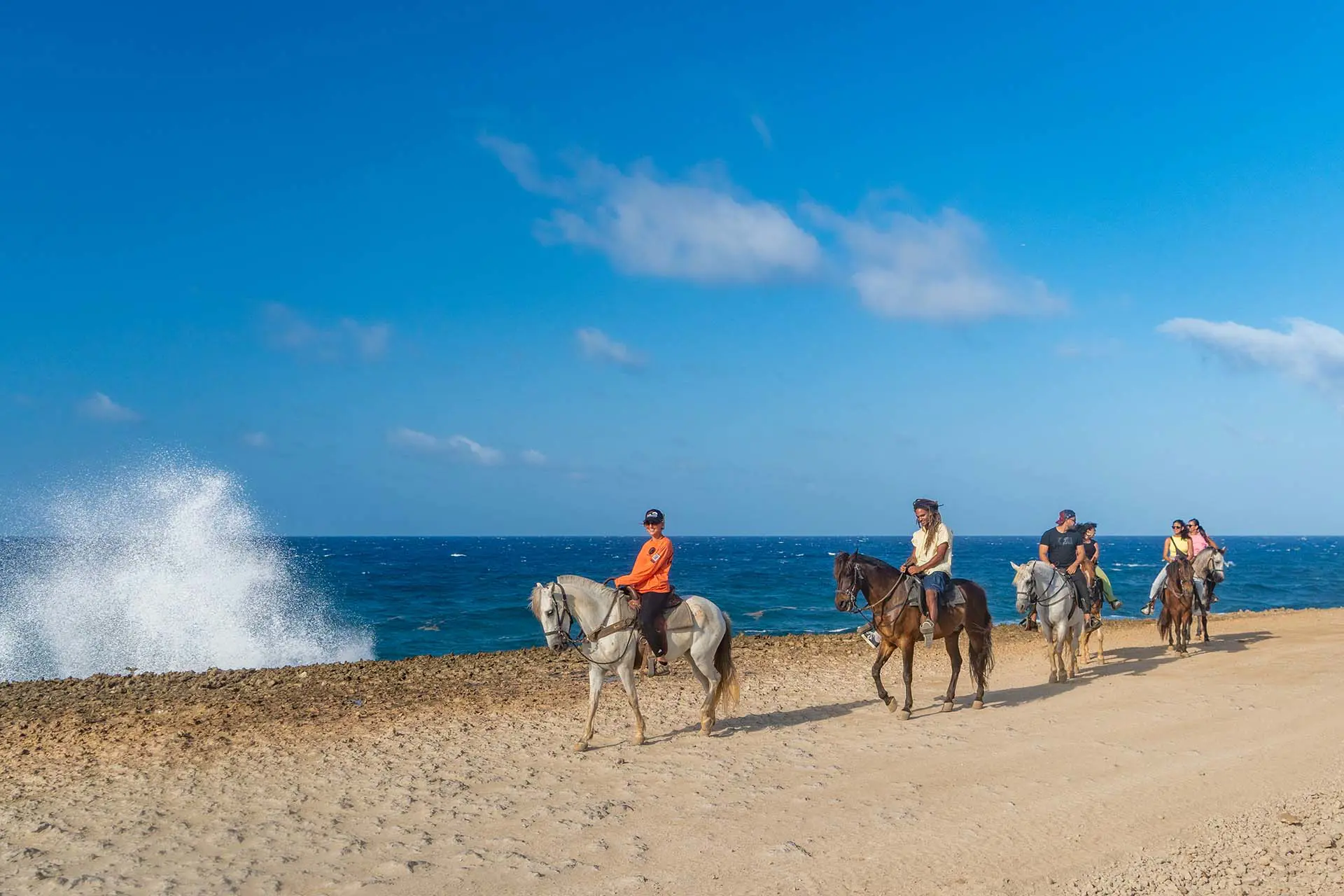 Aruba_horse_Tours-04