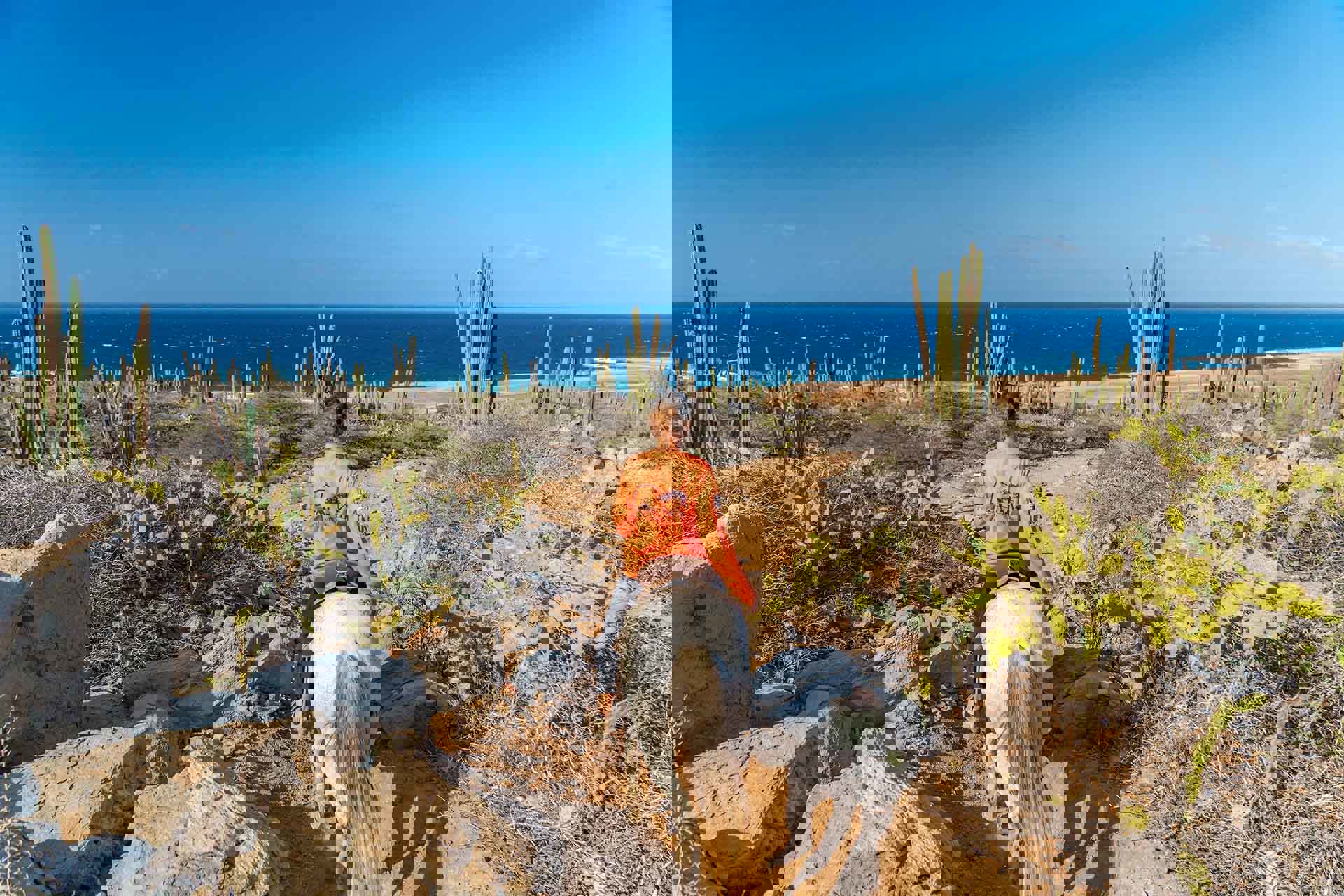 Aruba_horse_Tours-07