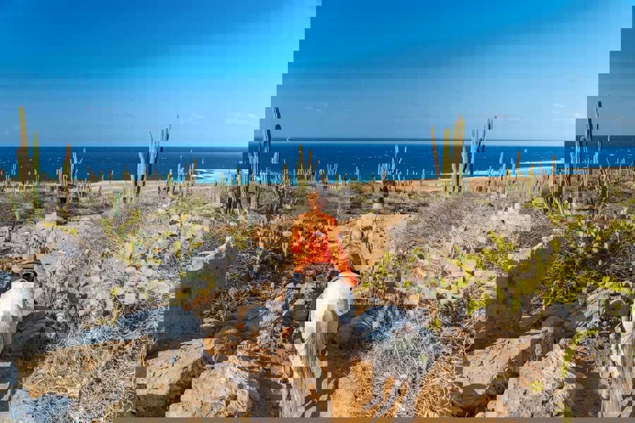 Aruba_horse_Tours-07