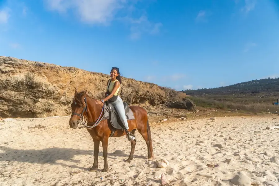 Aruba_horse_Tours-11