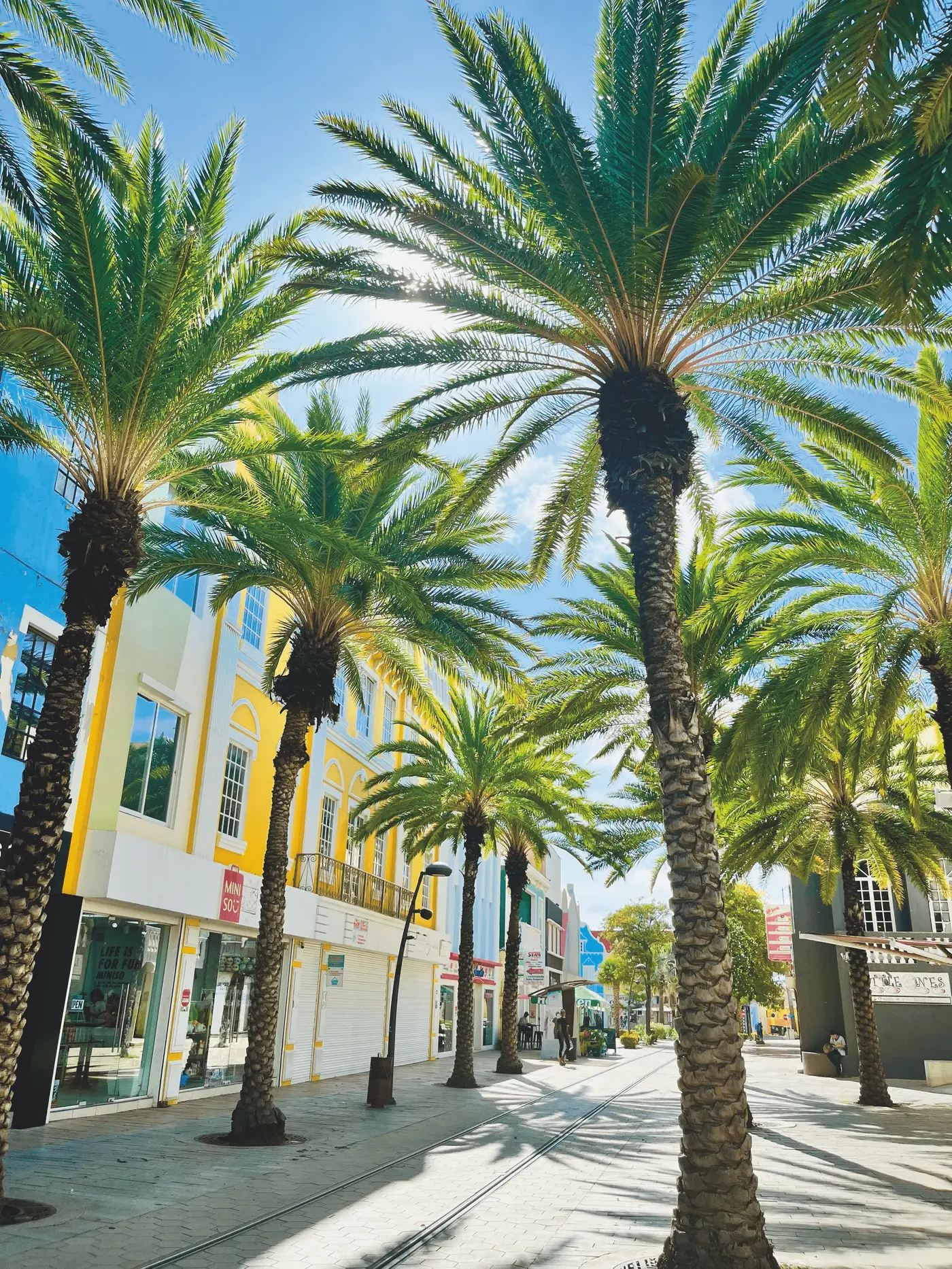 8 curiosidades sobre Aruba