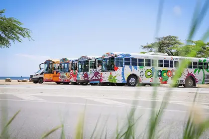 Create_Your_Own_Private_Island_Tour_–_Chogogo_Tours_(1)_-_Verkleind