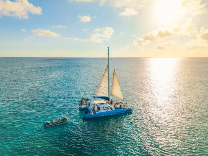 Catamaran Dolphin Sunset Adventure Cruise