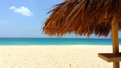 Eagle-dorado-eagle-beach-resort