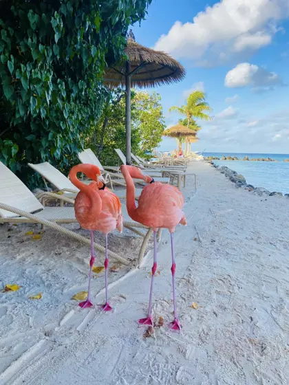Renaissance Island/ Flamingo Beach