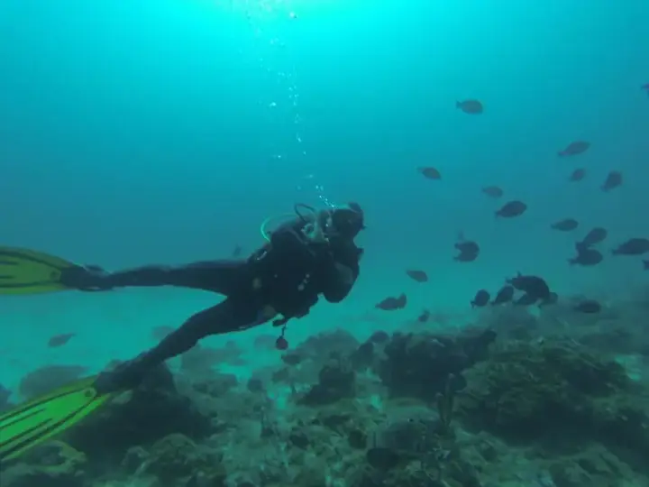 JADS Dive Center Aruba