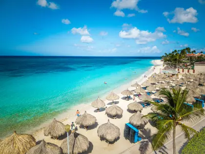Druif_Beach-01