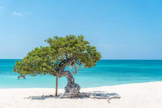 Eagle Beach