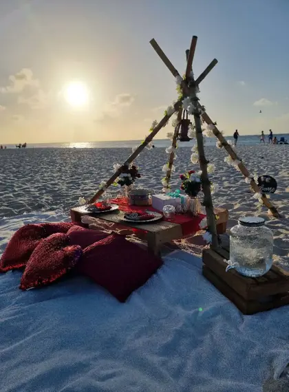 One_happy_picnic_aruba_(2)_-_verkleind