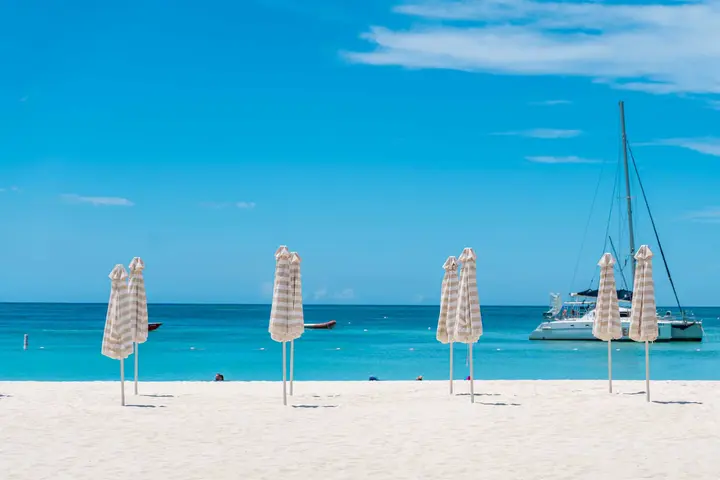 /Palm_Beach-6.jpg