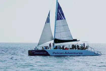 Pelican_Adventures_Sunset_Cruise_(1)_-_verkleind