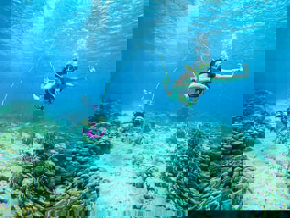 Snuba_(1)_-_verkleind