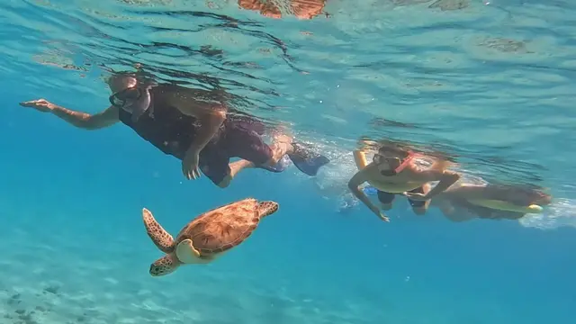 FIN-TASTIC 1 Snorkel: Tres Trapi & Turtle Spotting