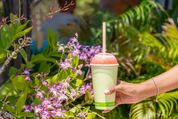 batidos