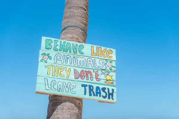 beach-4