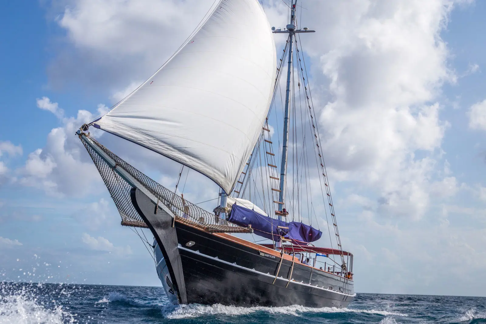 sailaway tour aruba