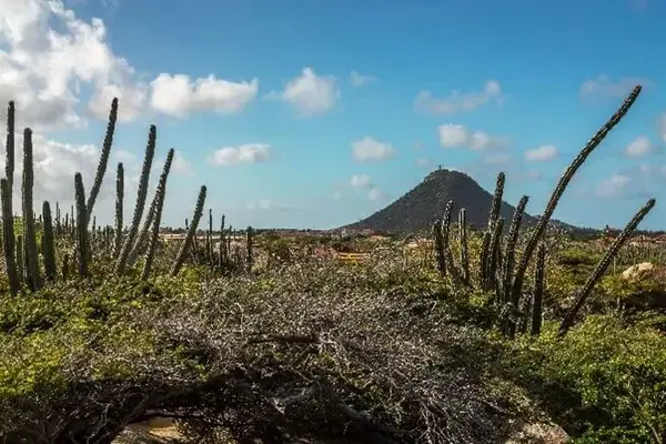 Top Outdoor Activities To Do In Aruba