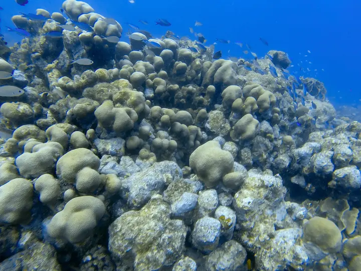 GOPR0249