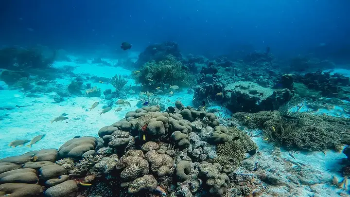 se-aruba-discover-scuba-diving-5