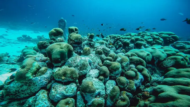 se-aruba-discover-scuba-diving-6