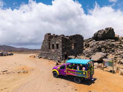 Cross_Aruba_Tours-232