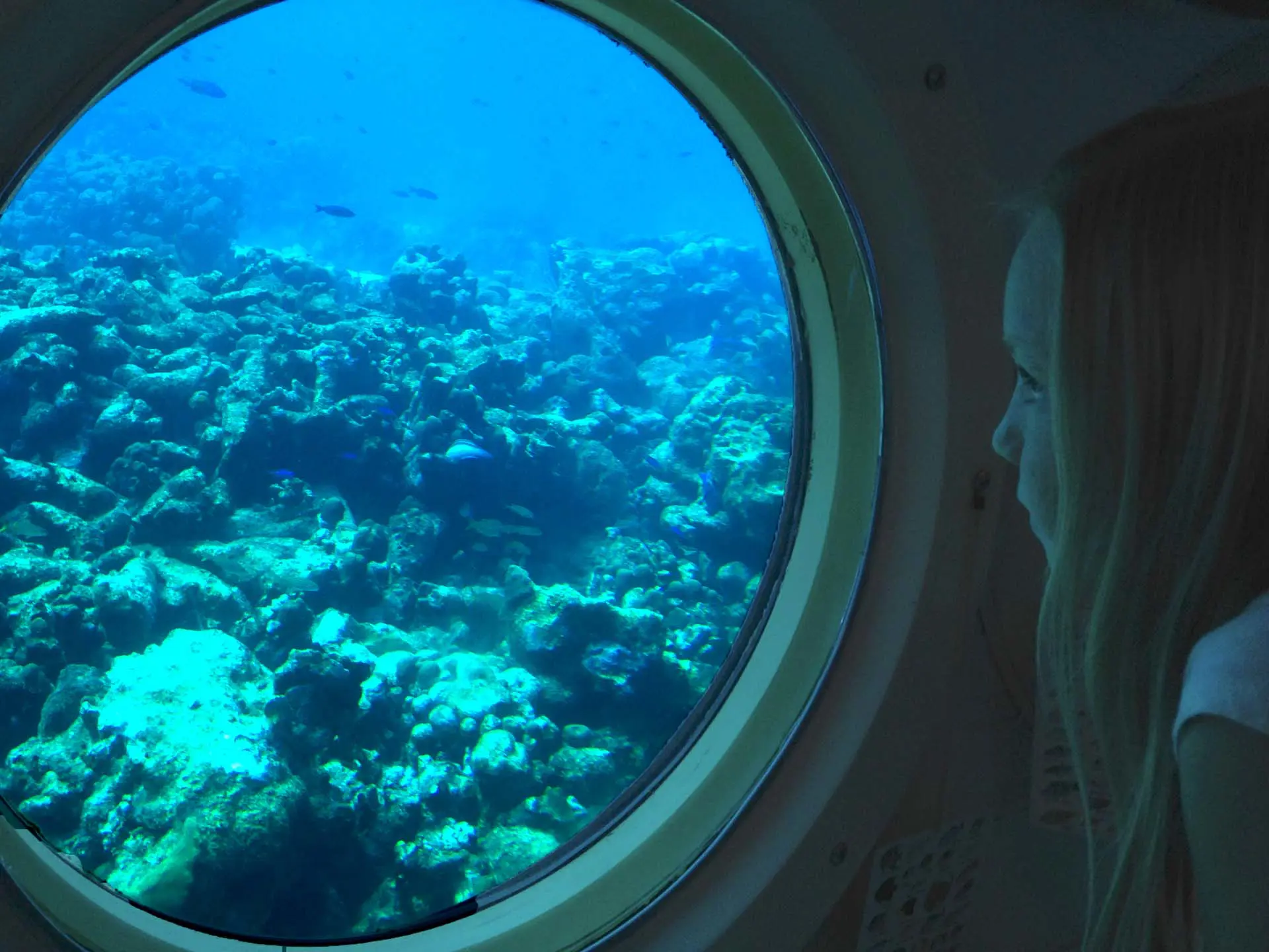 Atlantis_Submarine_De_Palm_Tours_2_Verkleind