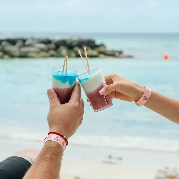 /book_tours/new-tours/De-Palm-Island/De_Palm_Island_Drinks_-_Verkleind.jpg