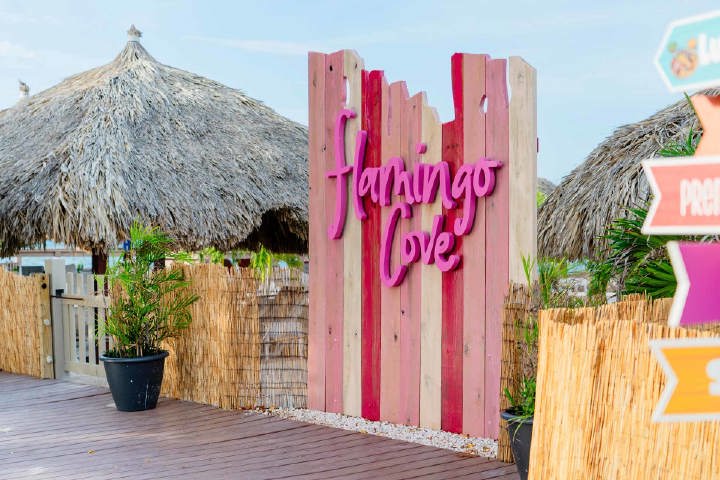 /book_tours/new-tours/De-Palm-Island/De_Palm_Island_Flamingo_Cove_(4)_-_Verkleind.jpg