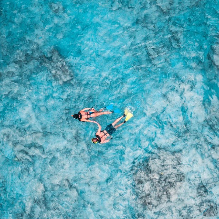 /book_tours/new-tours/De-Palm-Island/De_Palm_Island_Snorkel_(2)_-_Verkleind.jpg