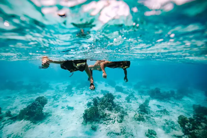 /book_tours/new-tours/De-Palm-Island/De_Palm_Island_Snorkel_-_Verkleind.jpg