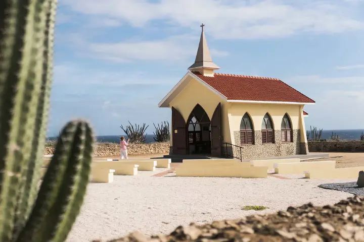 El Mejor Recorrido por la Isla de Aruba en un Autobús con Aire Acondicionado