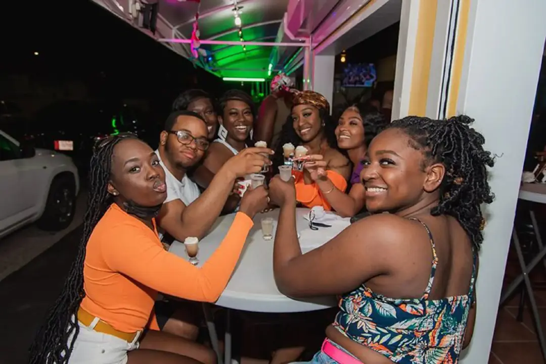9._Latin_Caribbean_Sunset_Karaoke_Party_Bus_-_Chogogo_Tours_(4)_-_Verkleind