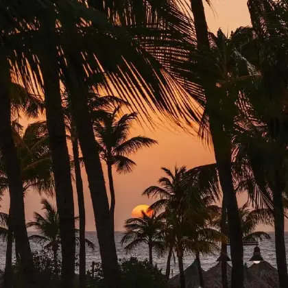 /clients/Hilton/sunset_bar_3.jpg