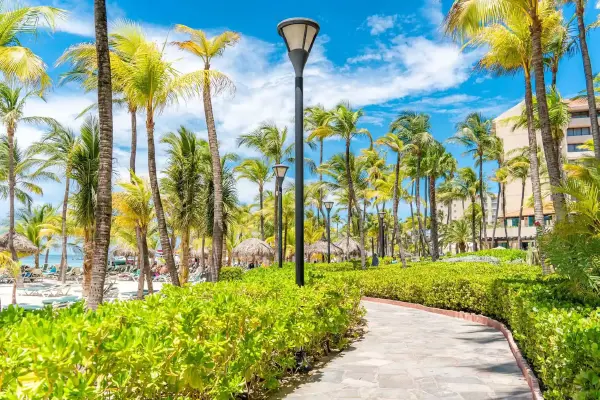 palm-beach-