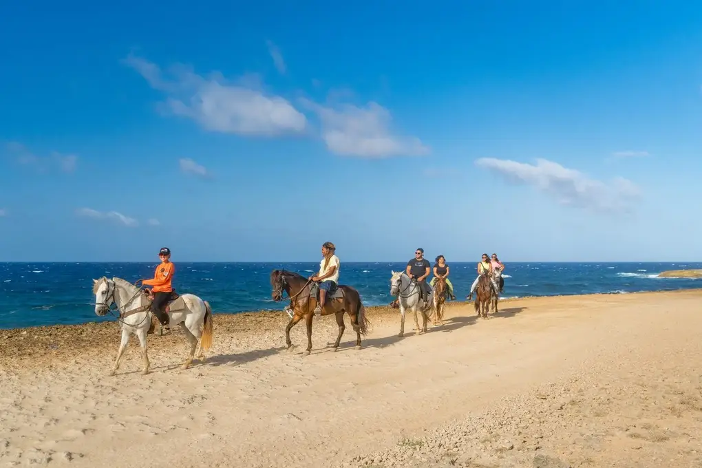 Horses on the beach at Wariruri